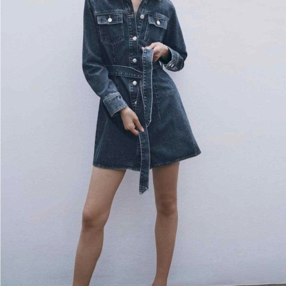 Zara Dark Denim Long Sleeve Dress XS